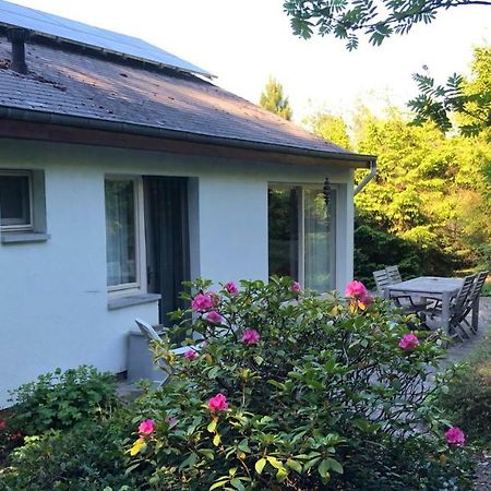 Villa Des Grues A Filly Houffalize Zewnętrze zdjęcie
